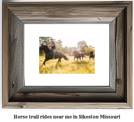 horse trail rides near me in Sikeston, Missouri